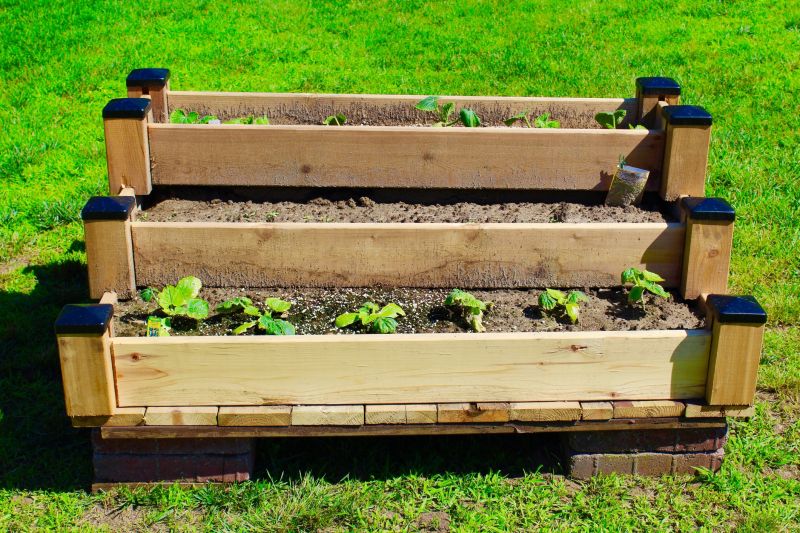 Raised Garden Beds