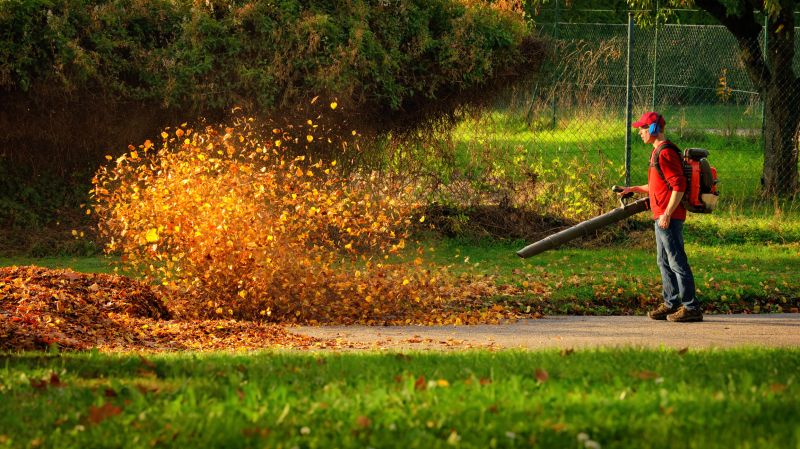 Leaf Blowing for Debris Clearing