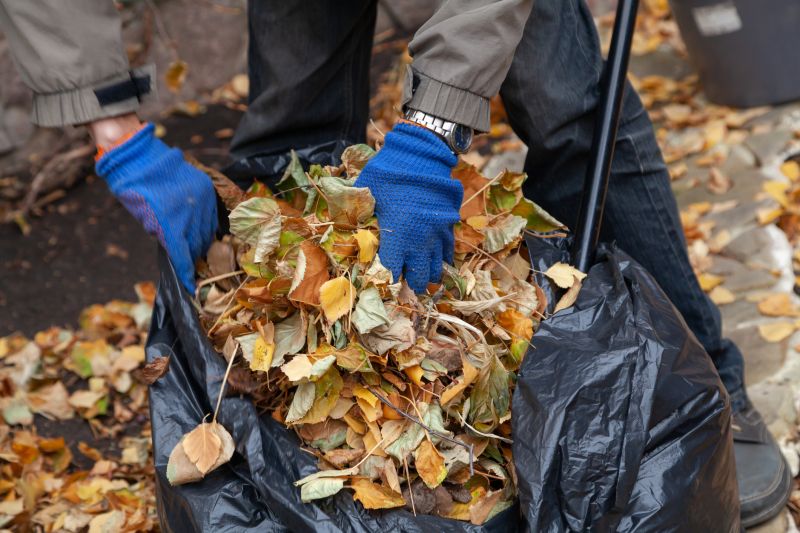 Leaves Collected and Bagged